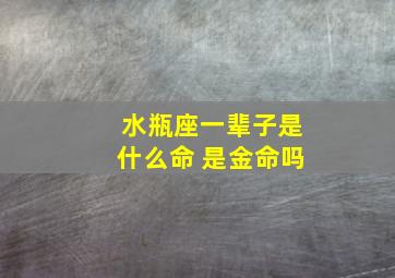 水瓶座一辈子是什么命 是金命吗